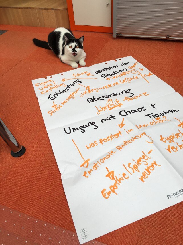 Achtung: Cat-Content ... Oder: Was macht die Katze im Büro?