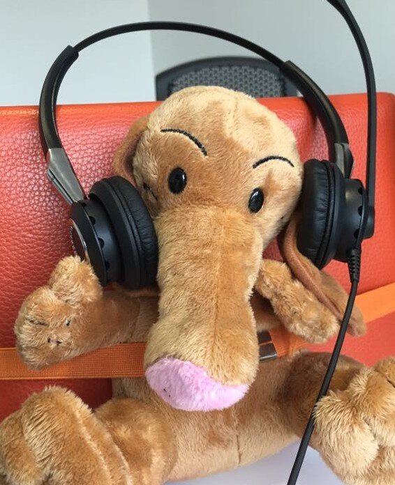Unser Liebling 2018: Coaching on the Job